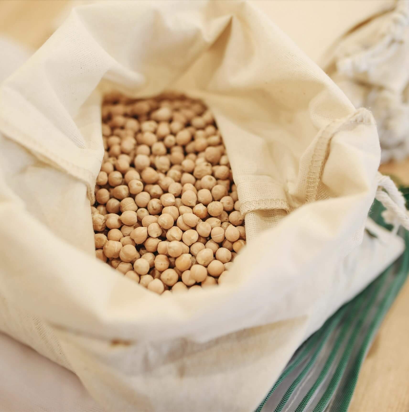 Organic Mesh Cotton Bag - S/M/L - The Plastic Free Co.